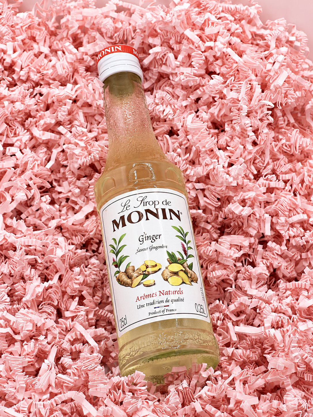 Sirop MONIN Gingembre – 25 cl