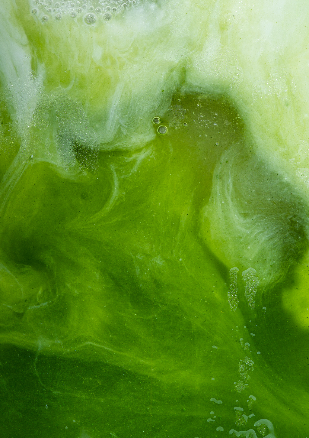 Matcha Vanille